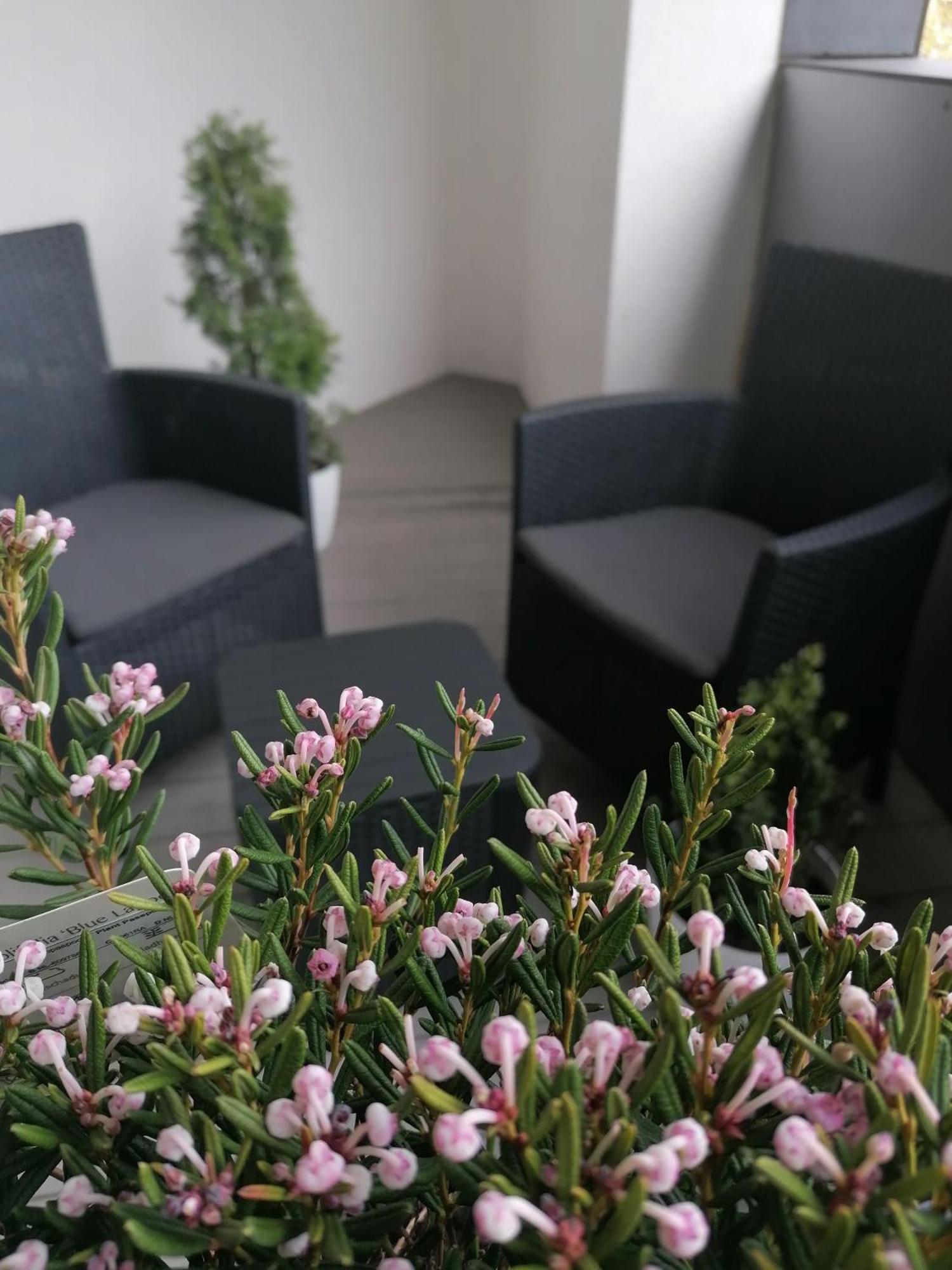 Szczecin Hanza Tower Apartment-Basen Kültér fotó